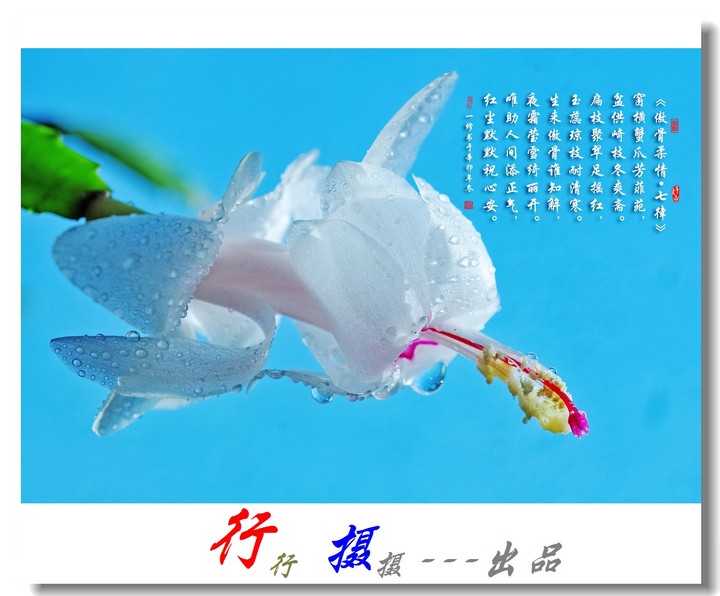 十大外围足球平台app|柯震东因吸毒事件再出庭 台检方给予缓起诉处分(图2) 十大外围足球平台app