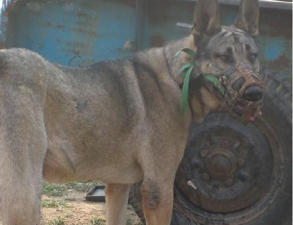 十大外围足球平台app