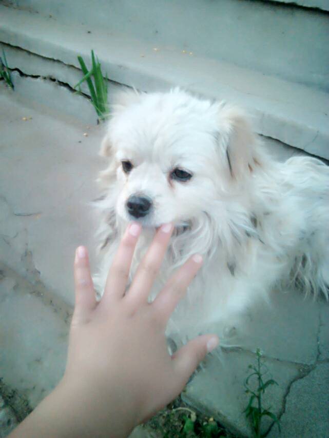 十大外围足球平台app-王力宏官网上线 哈尔滨歌迷首享一站式服务(图1) 十大外围足球平台app