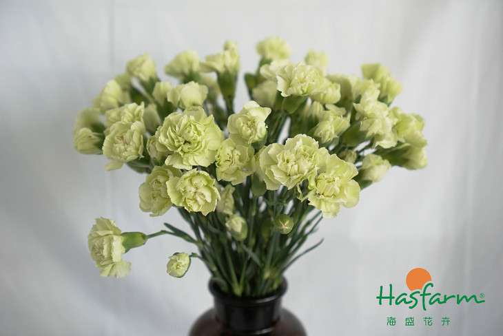 十大外围足球平台app