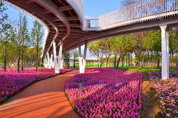 十大外围足球平台app