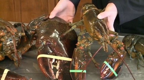 十大外围足球平台app